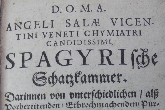 Titelblatt: Spagyrische Schatzkammer, Güstrow, Hallervords, 1634