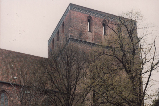 Blick nach schräg oben zum Kirchturm der Petrikirche Rostock, davor Bäume, die noch kein Laub tragen.